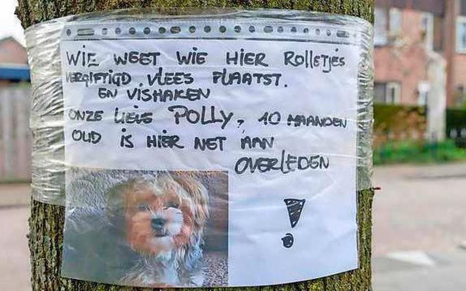 Rob heeft een pamflet opgehangen bij het grasveldje voor zorgcentrum Buitenzorg.