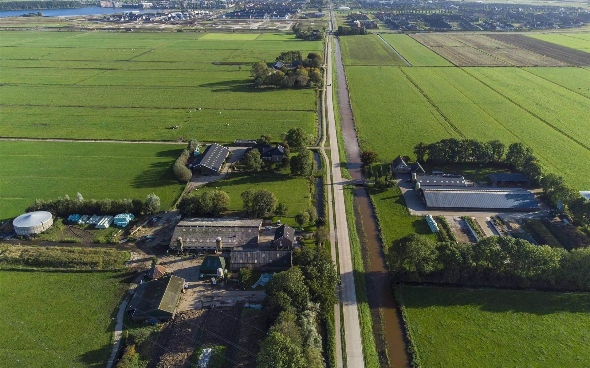 Boeren willen actie tegen nieuwbouw in weilanden