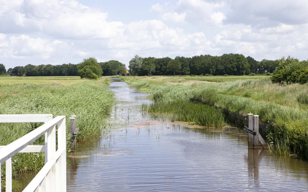 Borger, Meer Dan Een Hunebedhoofdstad - Leeuwarder Courant