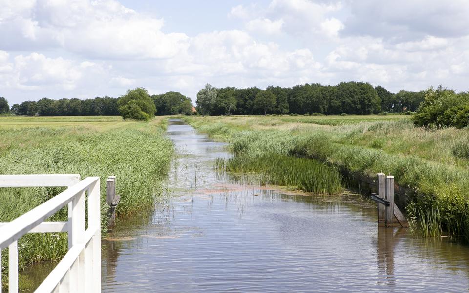 Het Bijvoetpad in Borger