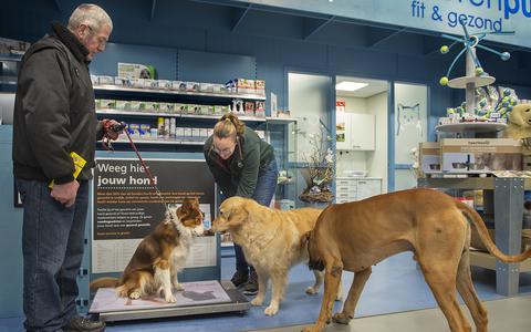 Welkoop houdt regelmatig weegweken voor honden, zoals hier in Westerbork. De keten gaat niet akkoord met de forse prijsverhoging voor honden- en kattenvoer van Royal Canin. "Je durft het amper aan te bieden aan klanten."
