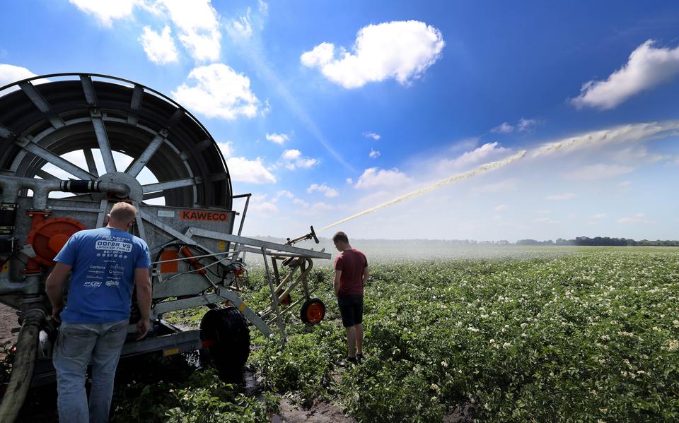 Een van de voornemens in het Fries Programma Landelijk Gebied is meer regenwater vasthouden in plaats van afvoeren. In droge tijden is er dan meer water beschikbaar, bijvoorbeeld voor beregening.
 