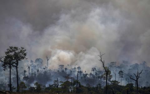 Houtkap en illegaal aangestoken bosbranden in het Amazone-gebied beïnvloeden de waterhuishouding in de bodem. Fotot Joao Laet
