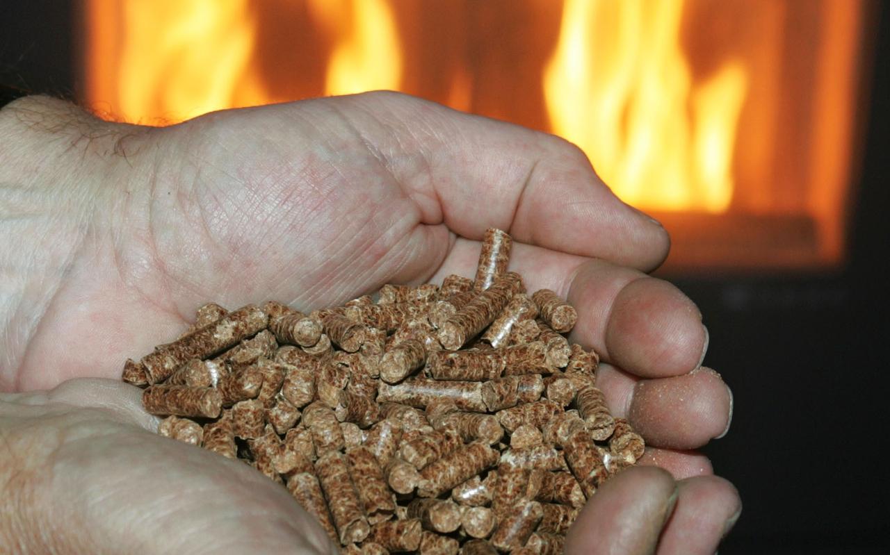 De vraag naar kachels die niet op gas draaien, zoals pelletkachels, is dusdanig dat toegenomen dat er een lange levertijd is. De vraag naar kachels die niet op gas draaien, zoals pelletkachels, is dusdanig dat toegenomen dat er een lange levertijd is.