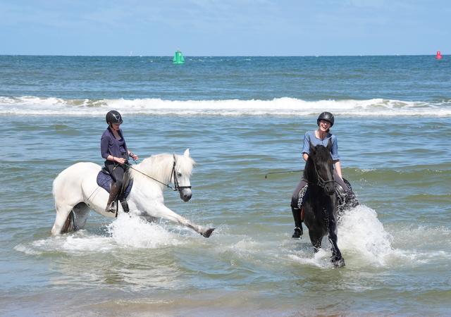 Voor Anne-May (29) was manege De Seeruyter op Vlieland een tweede thuis. ‘Het was een fantastische j