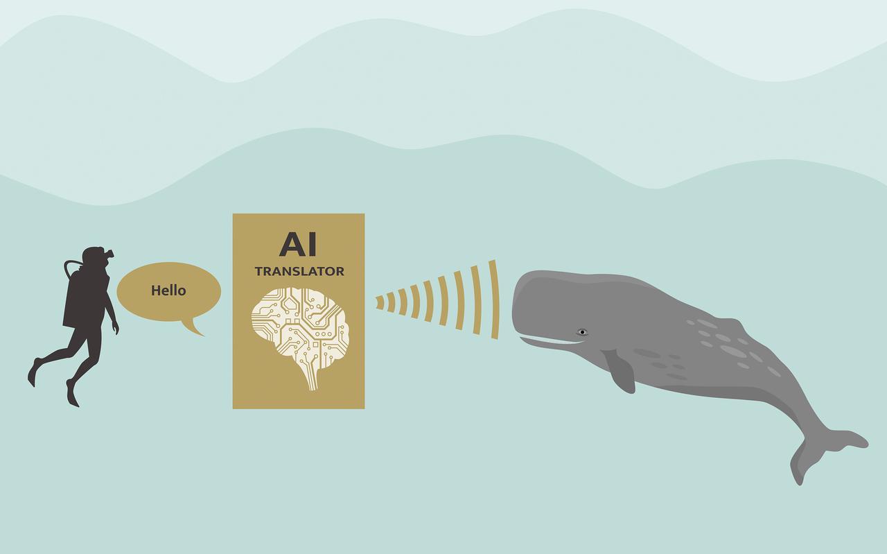 Kunstmatige intellentie belooft ons een gesprek met walvissen.