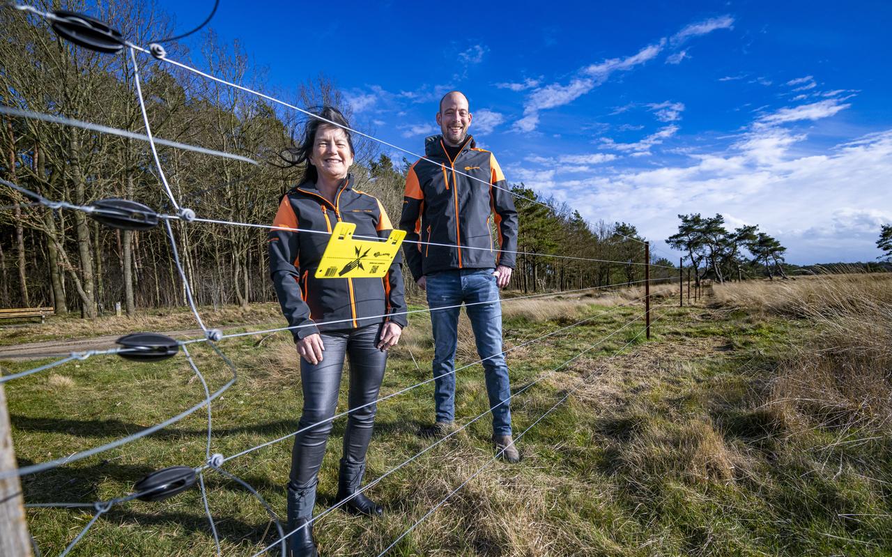 Ingvild Nissink van Gallagher bij een afrastering bij Wapserveen. Ingvild Nissink van Gallagher bij een afrastering bij Wapserveen.