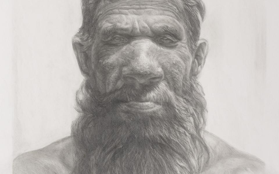 Reconstructie van Krijn, de ‘eerste Nederlandse neanderthaler’.