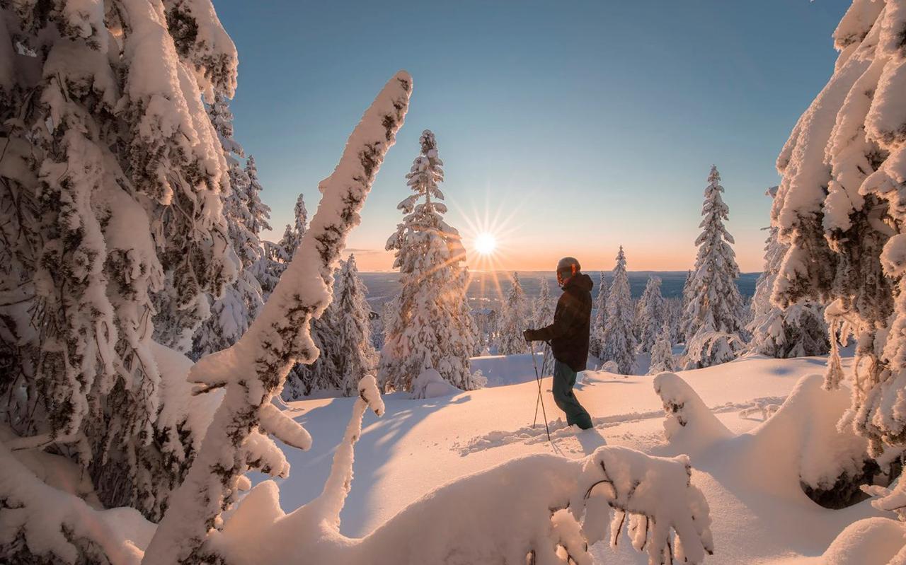 Skiën in Zweden of Noorwegen, blijkt een alternatief voor de Alpen.   