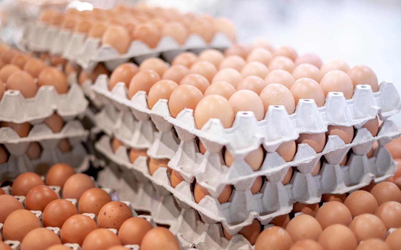 Scheur Graan bureau Waarom stijgt de prijs van eieren sterker dan van andere producten in de  supermarkt? - Leeuwarder Courant