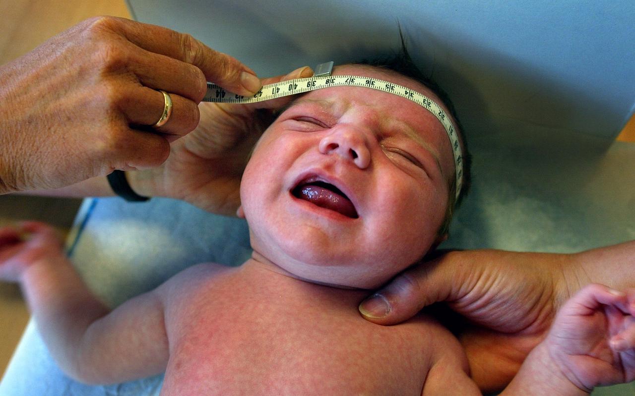 Het opmeten van het hoofdje van een 5 weken oude baby op het consultatiebureau. Het opmeten van het hoofdje van een 5 weken oude baby op het consultatiebureau.