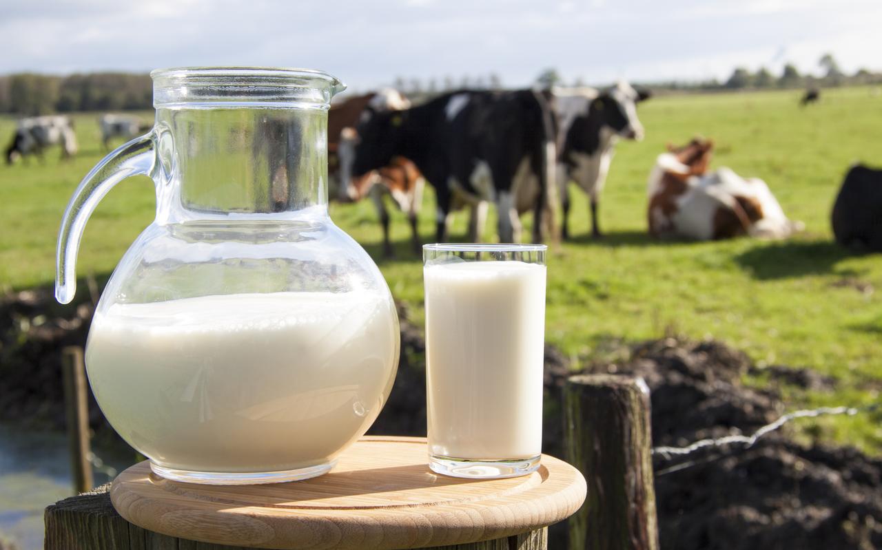Betalen we binnenkort ook minder voor melk in de supermarkt? Betalen we binnenkort ook minder voor melk in de supermarkt?
