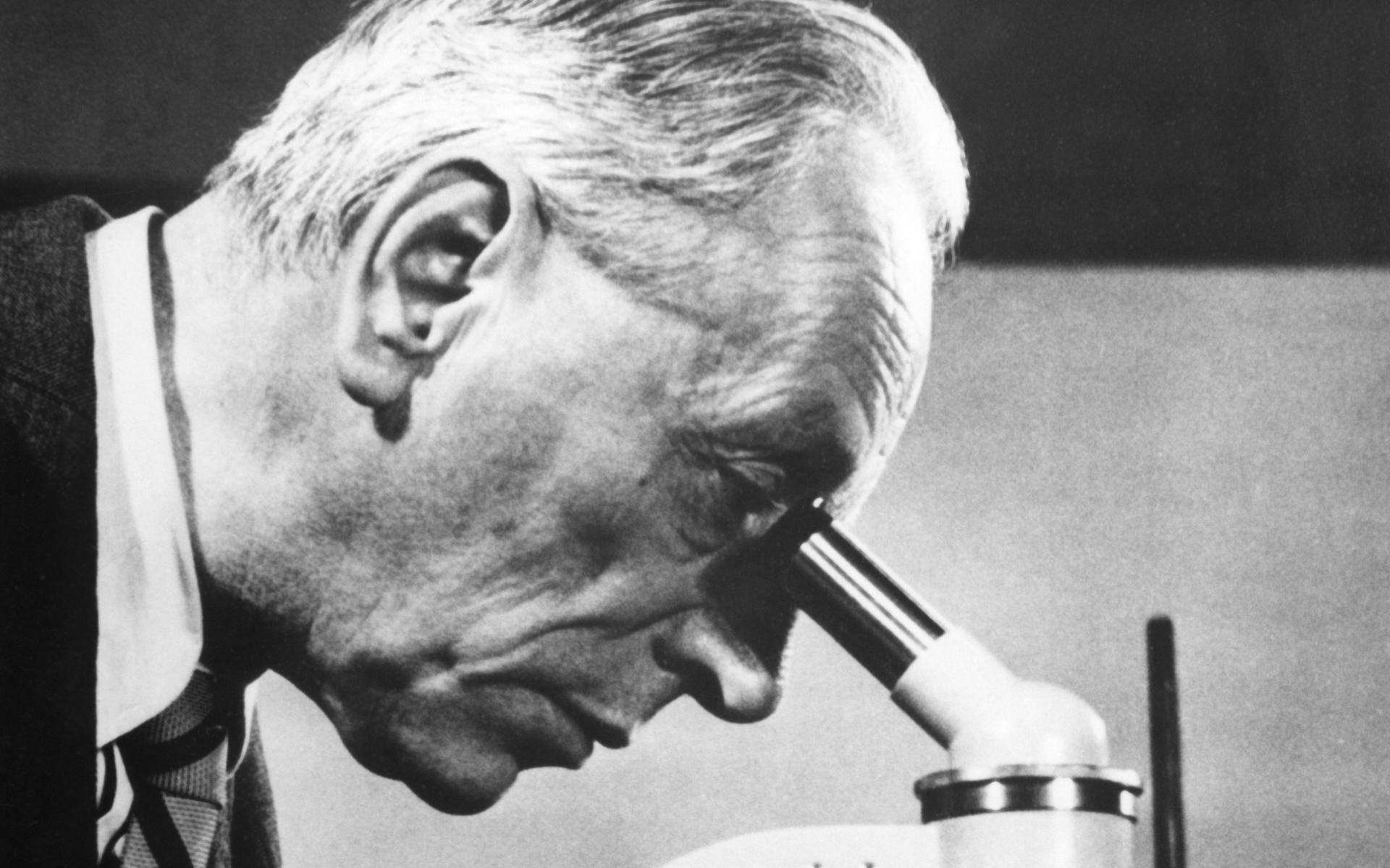 Nobelprijs Van Frits Zernike Is Verkocht Het Voorkwam Ruzie Tussen nobelprijs-van-frits-zernike-is-verkocht-het-voorkwam-ruzie-tussen