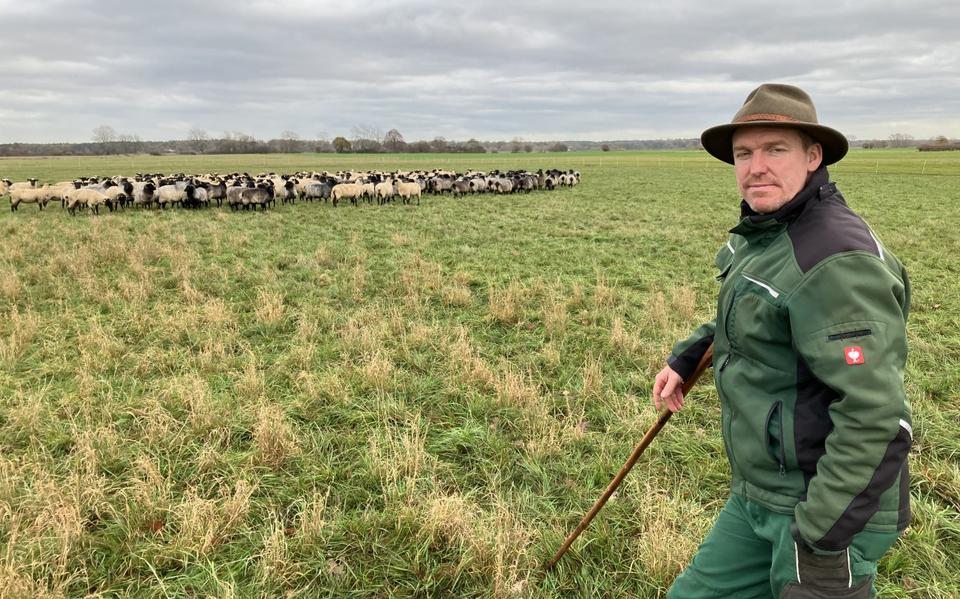 Schapenhouder Stefan Rose: ,,Ik weiger verder mee te doen aan de wapenwedsloop met de wolf.'' 