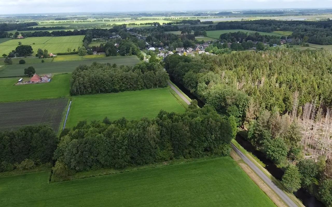 De zendmast staat gepland in dit bosje. Foto: Mediahuis Noord De zendmast staat gepland in dit bosje. Foto: Mediahuis Noord