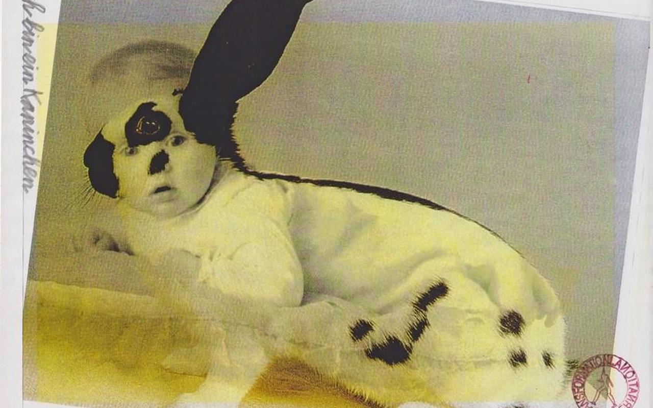 Fotomontage van Geert Duintjer als baby en een konijn.
Fotomontage van Geert Duintjer als baby en een konijn.