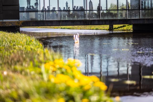 Kunstschat naar Belvédère in Heerenveen: museum krijgt grote collectie Benner-schilderijen, donatie 