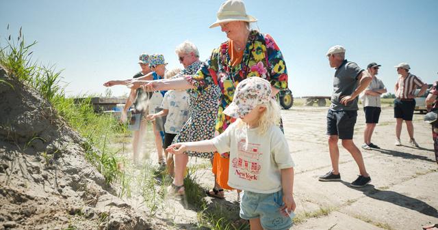 Hoe anderhalve kilometer ingezaaide berm bij Hilaard moet leiden tot een bloeiende provincie