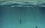De TidalKite van SeaQurrent bestaat uit vliegers van 12 bij 7 meter die door de stroming worden voortgetrokken. Die kracht wekt energie op.
