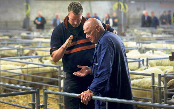 'Nieuwe veemarkt ook modernste' - Leeuwarder Courant