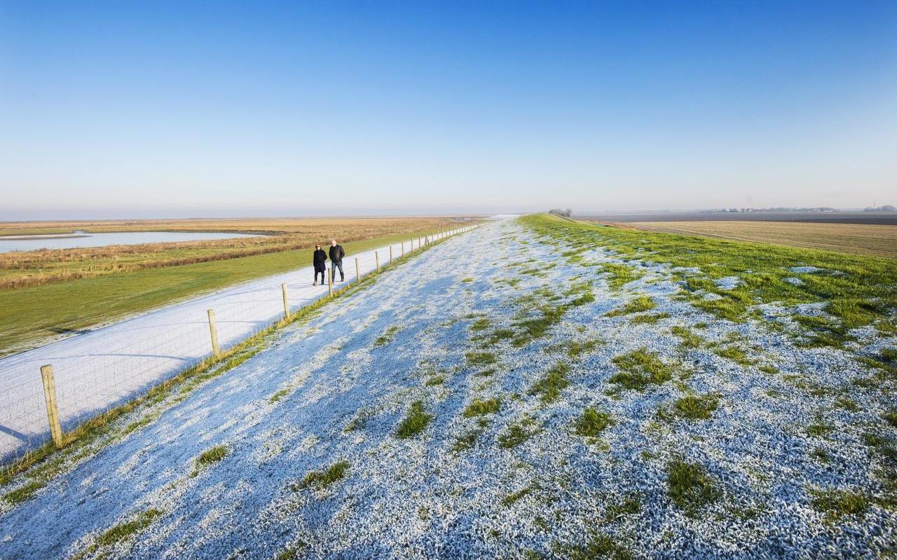 Het gebied waar Holwerd aan Zee moet komen. FOTO MARCEL VAN KAMMEN Het gebied waar Holwerd aan Zee moet komen. FOTO MARCEL VAN KAMMEN