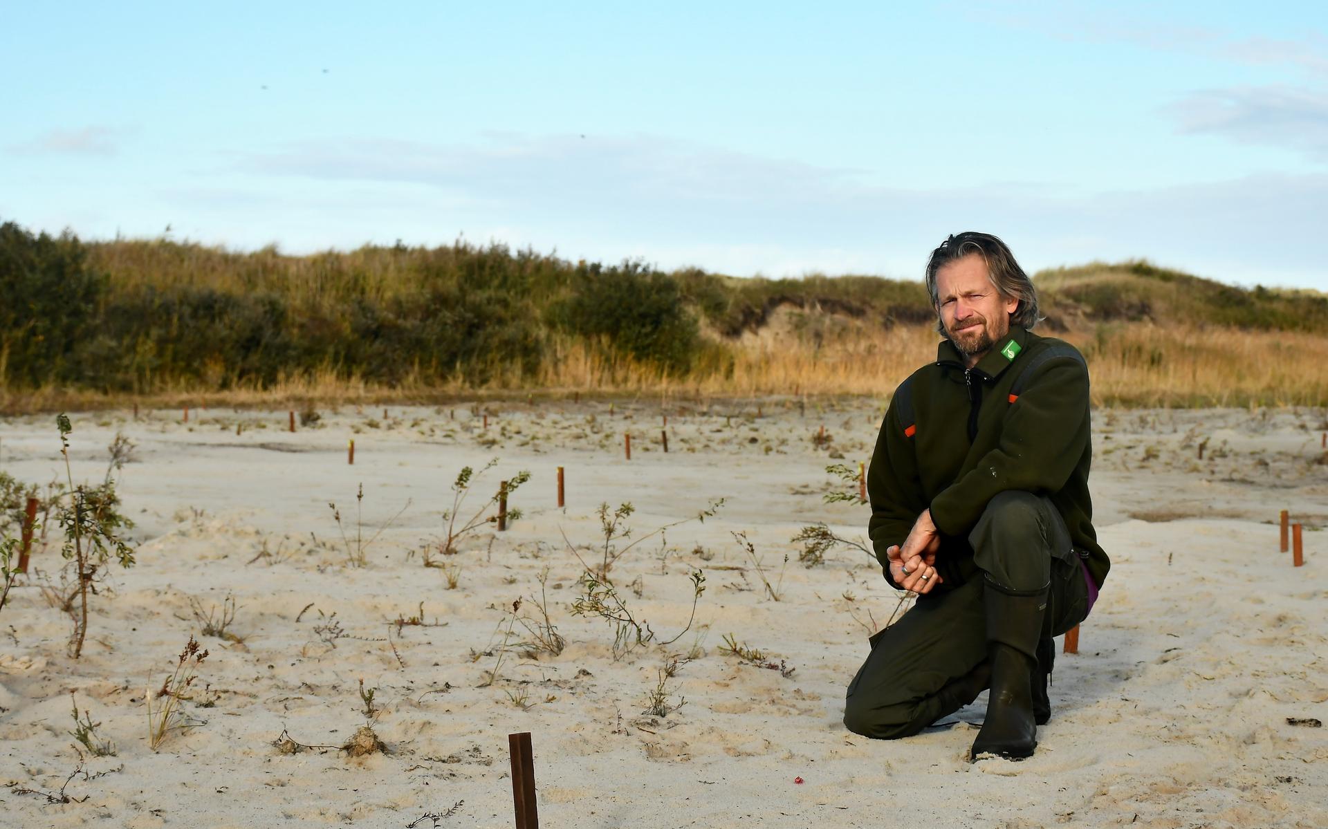 Terschelling blijft worstelen met woekerexoot watercrassula. 'We gooien de handdoek niet' - Leeuward