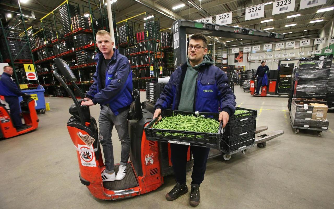 Polen in Friesland: Dawid Wachowski (links) en Maciej Zak bij Smeding Groenten en Fruit in Sint Annaparochie. FOTO NIELS WESTRA Polen in Friesland: Dawid Wachowski (links) en Maciej Zak bij Smeding Groenten en Fruit in Sint Annaparochie. FOTO NIELS WESTRA