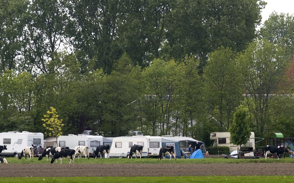 Boerencamping Boarnshiem bij Aldeboarn. 