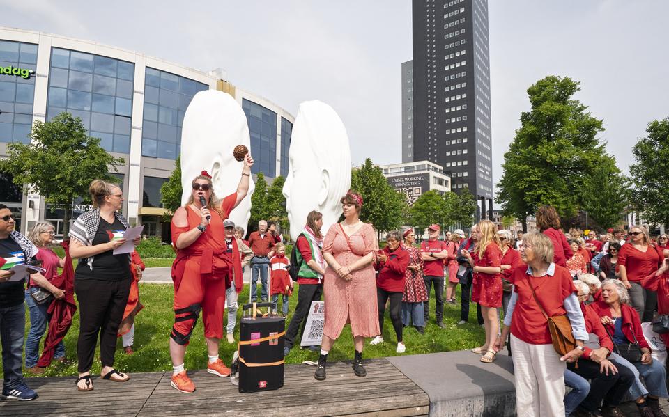 Demonstratie tegen het Israëlisch geweld in de Gazastrook in Leeuwarden.