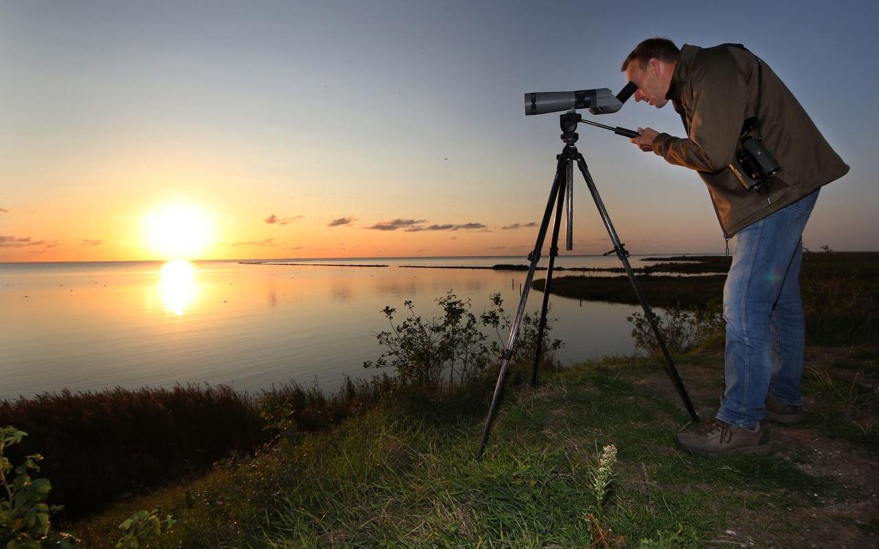 Tjerk Kunst speurt de zandplaten voor de kust af, op zoek naar reuzensterns. FOTO SIMON BLEEKER
Tjerk Kunst speurt de zandplaten voor de kust af, op zoek naar reuzensterns. FOTO SIMON BLEEKER