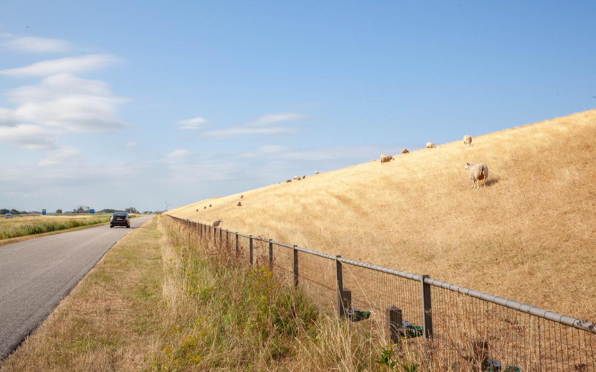 Loonwerker in Dedgum loopt vast door droge zomer - Leeuwarder Courant