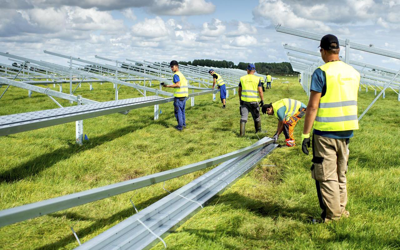 Er zou een Fries bedrijf moeten zijn om zonneweiden te exploiteren, zo opperde burgemeester Gerard van Klaveren. FOTO NEDERLANDSE FREELANCERS