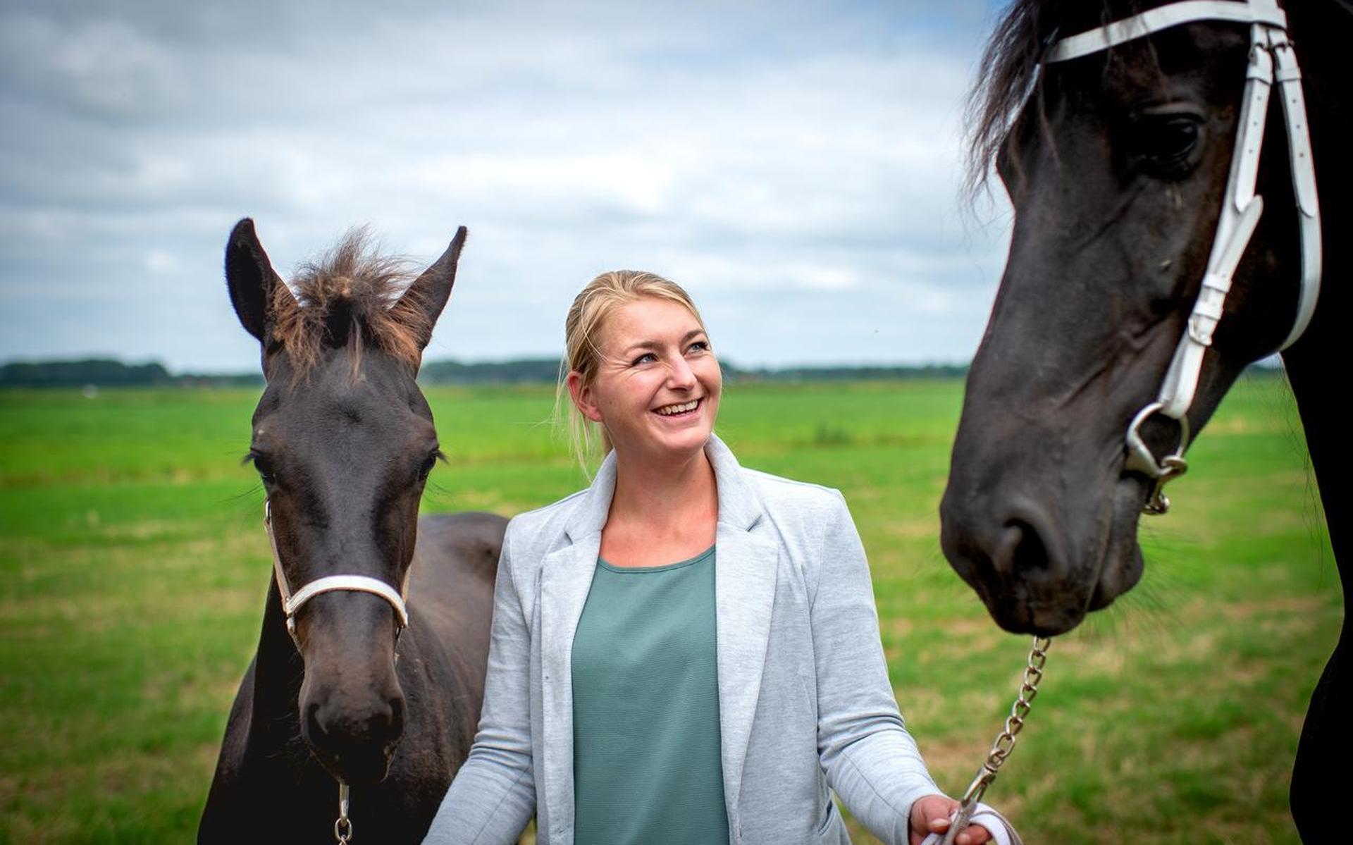 Tekort aan fokkers Friese paarden: 'Misschien moeten we een datingsite opzetten'