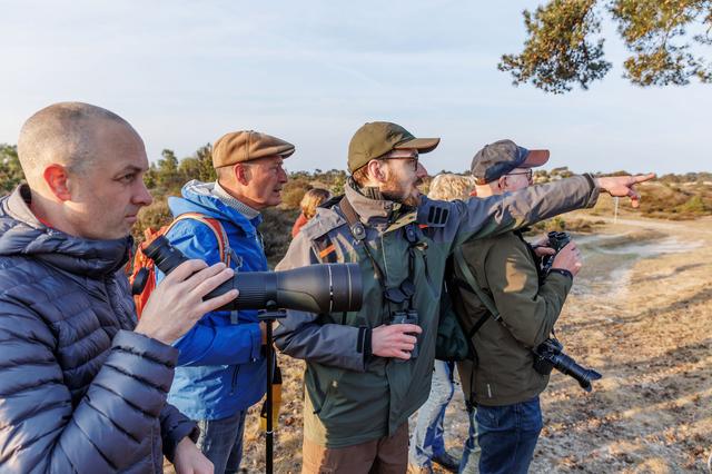 Vogels spotten bij zonsopgang in het Drents-Friese Wold