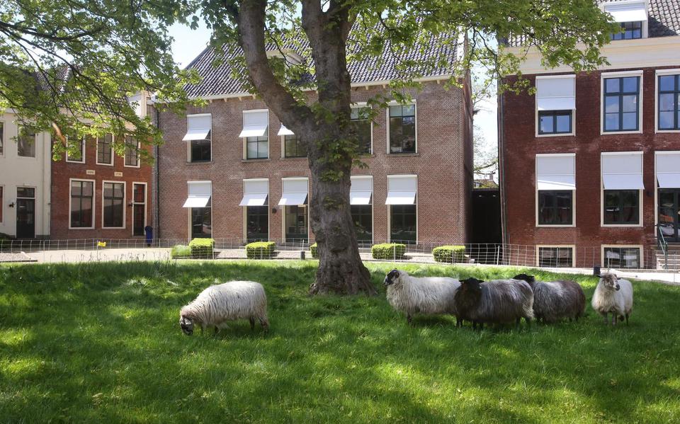 De Fryske Akademy in Leeuwarden. 