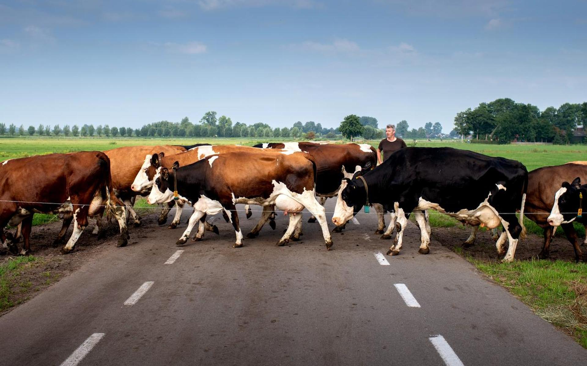 Gewoon mag in De Veenhoop, gek ook