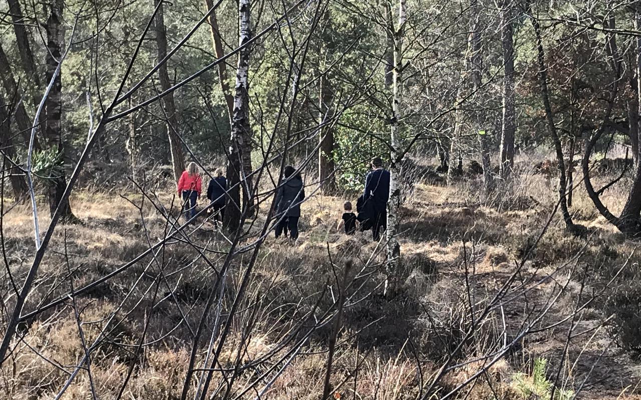 Wandelen op afstand door de bossen bij Beetsterzwaag. FOTO LC Wandelen op afstand door de bossen bij Beetsterzwaag. FOTO LC