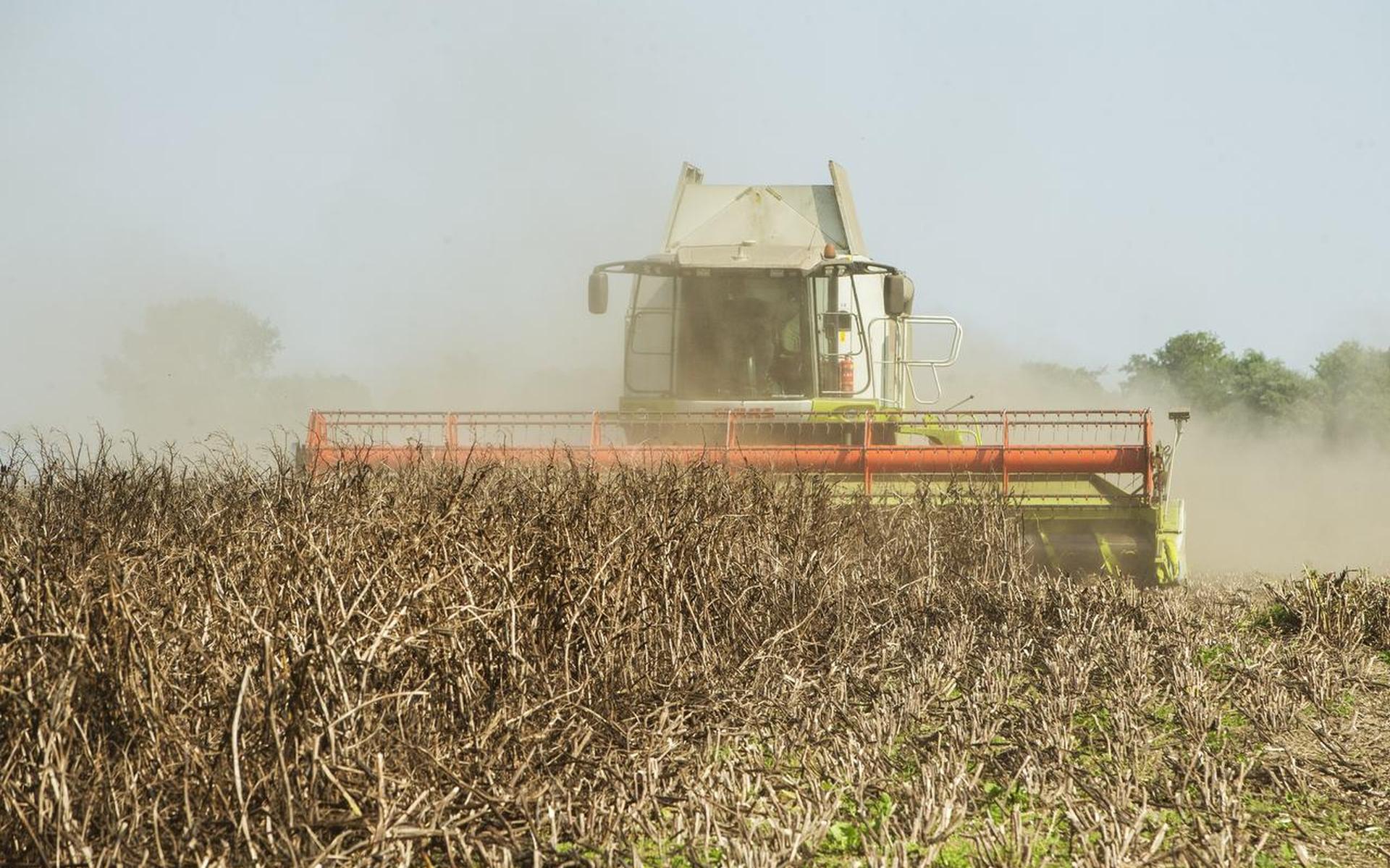 Besparen op krachtvoer door boon van eigen land