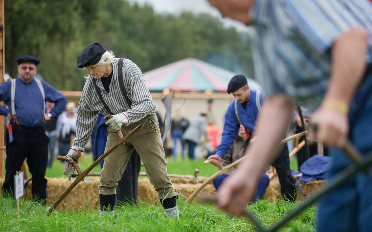 Maaien met een zeis op Flaeijelfeest Nieuwehorne - Leeuwarder Courant