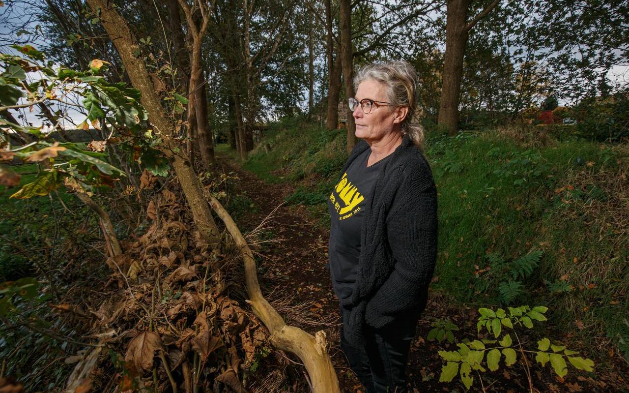 Hillie de Koe op haar erf vol bomen. Hillie de Koe op haar erf vol bomen.