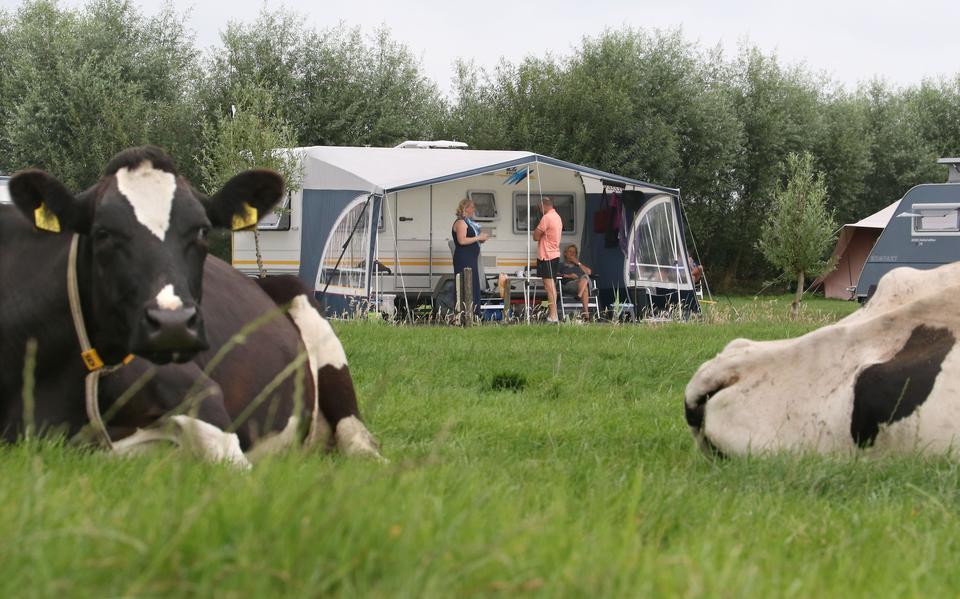 Boerencamping 'De Klompen' bij Nijhuizum. 