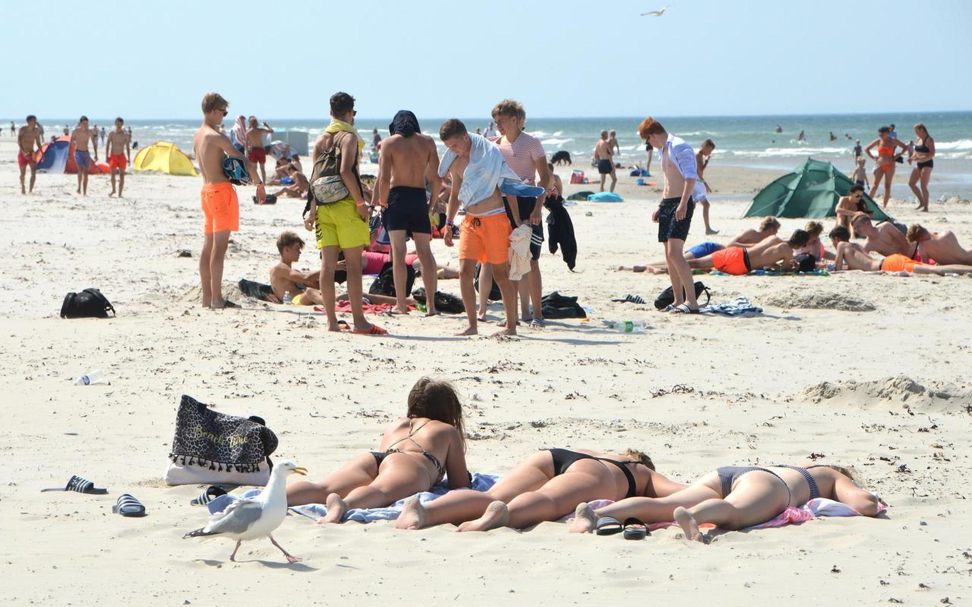 Camping Terpstra op Terschelling overweegt sluiting - Leeuwarder Courant