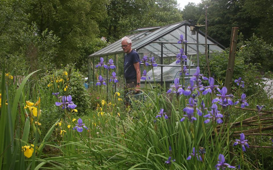 Wouter Sierdsma in zijn ecotuin 'It Skarrelhiem". Je hoeft niet naar het tuincentrum, zegt hij. Alles is er al.