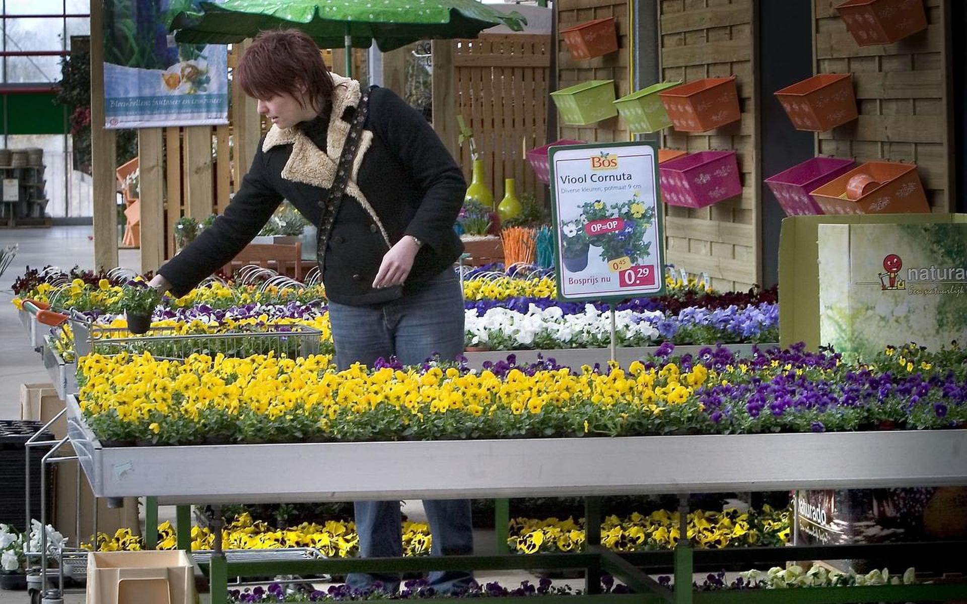 bos tuin en dier heerenveen