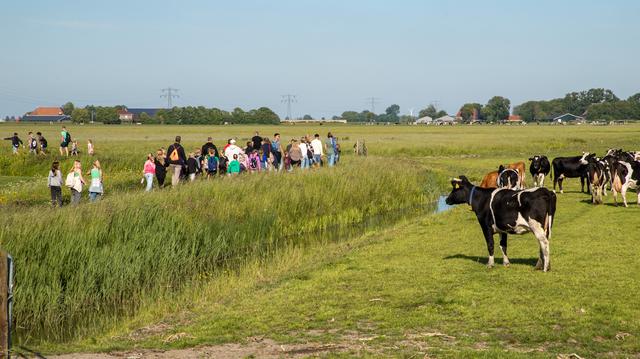 75e Avondvierdaagse Bolsward