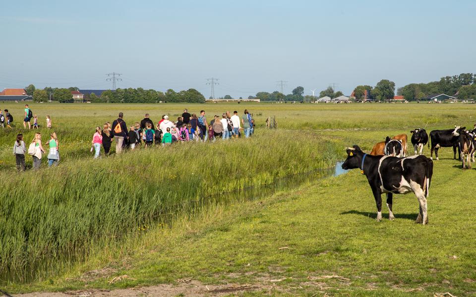 De wandelaars op het pad naar het Ugoclooster. Rechts kijken de biokoeien van Brandsma toe. 