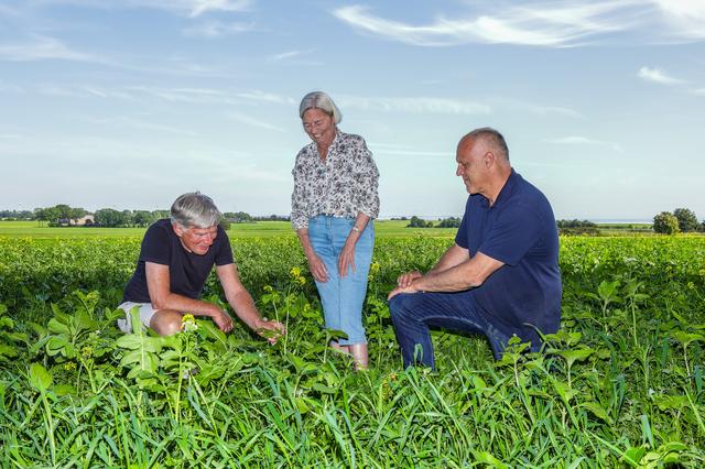 Oudemirdum heeft een oplossing gevonden voor de lelieteelt in het dorp