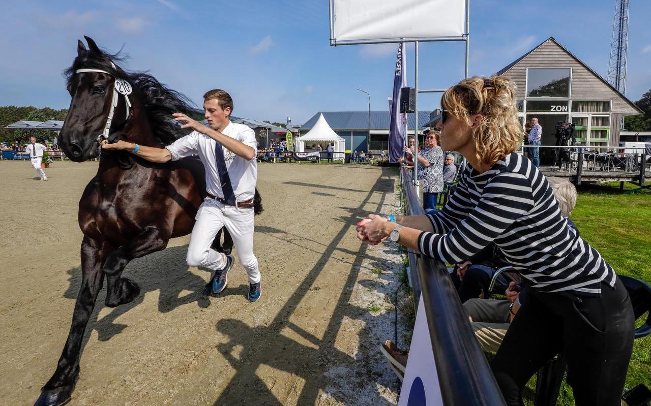 Modelmerrie Marrit fan de Klaster van Lammert Postma uit Boornzwaag davert langs het publiek. Modelmerrie Marrit fan de Klaster van Lammert Postma uit Boornzwaag davert langs het publiek.