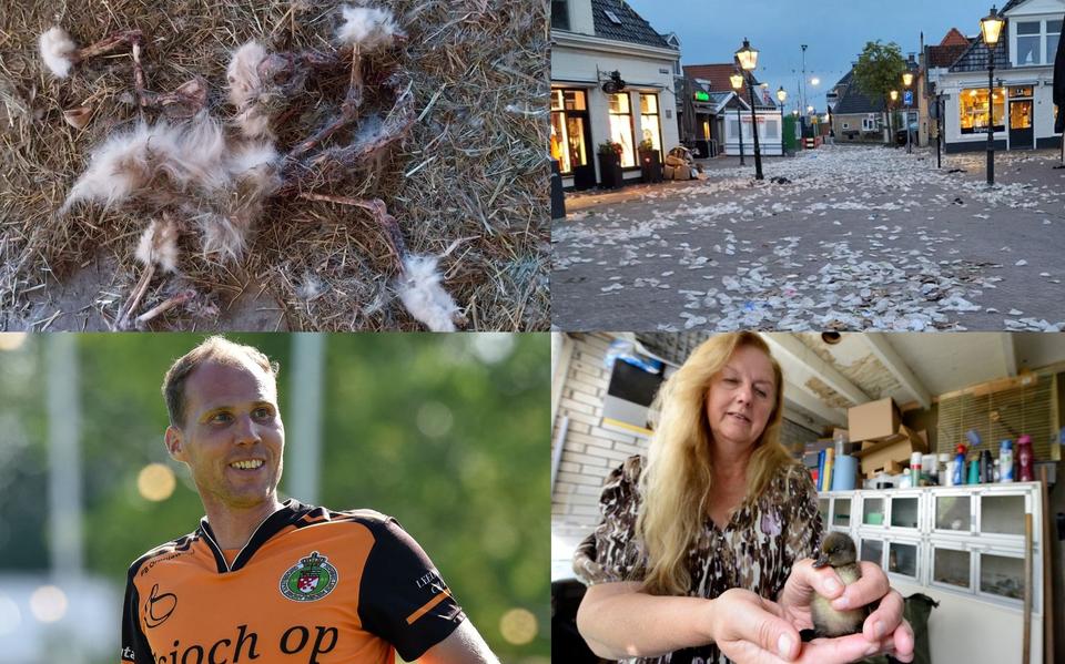 Nieuws uit Friesland van 29 juli.