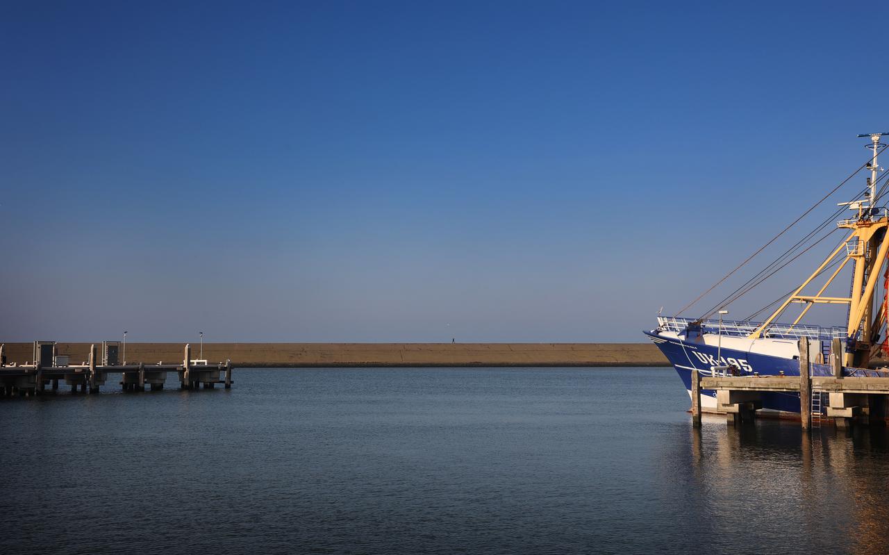 De UK-195 in de Nieuwe Vissershaven in Harlingen. De Noordzeekotter van Rense de Boer is sinds april niet meer uitgevaren en inmiddels aangemeld voor de sanering.